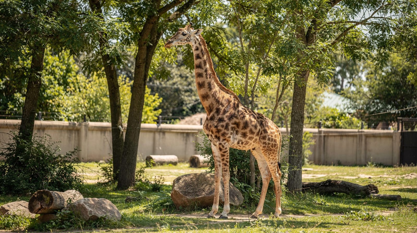 Chester Zoo entry ticket — price, booking and what to expect — A review of the standard Chester Zoo entry ticket — price, how to skip queues, h